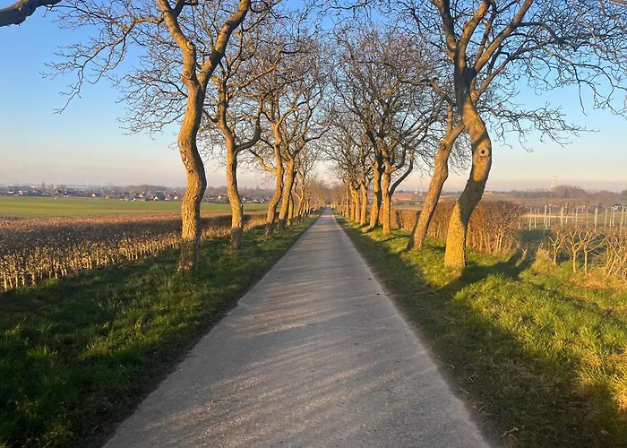 Broekemmolen - Nature Getaway & Green Spot